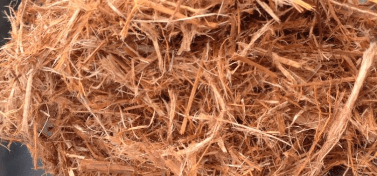 Columbia Cedar -Turning Cedar Waste Into Mulch